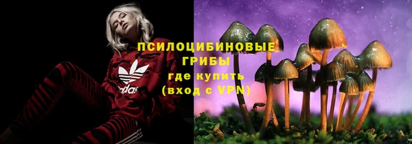 прущая мука Остров