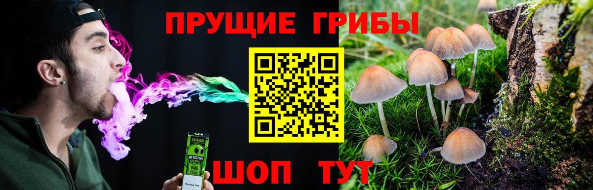 Псилоцибиновые грибы Psilocybe  Псилоцибиновые грибы мухоморы  Курганинск  Вход с VPN 